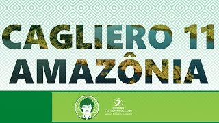 CAGLIERO 11 AMAZÔNIA  INÍCIO DAS MISSÕES SALESIANAS EM YAUARETÊ [upl. by Alda]