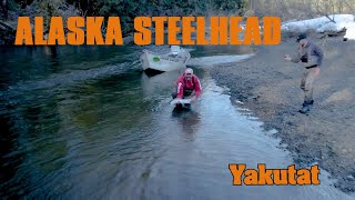 Big Alaska Steelhead WFWP Yakutat [upl. by Opaline]