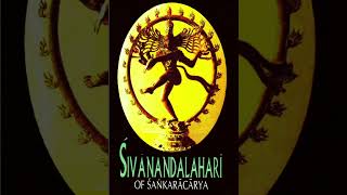 Sivananda Lahari Sloka 51 to 60 [upl. by Ajtak]