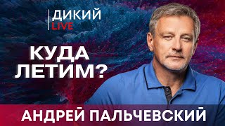 Когда сдуваются мечты или Это даже не смешно Андрей Пальчевский Дикий LIVE [upl. by Notxarb]