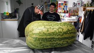 Giant Watermelon 288 lbs cut open see inside [upl. by Kirschner]