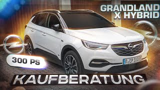 Grandland X Hybrid  300PS  Test  Kaufberatung  Erwin Paul Gmbh [upl. by Natasha]