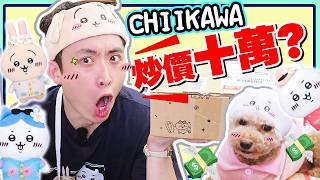 【Chiikawa迷的錢都買什麼了？】🤑這隻炒價10萬元？40多樣戰利品💥開箱手到軟…😍中文字幕 [upl. by Morty]