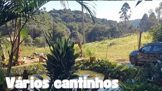 Um PASSEIO por plantas de sombra FOLHAGENS de sol SUCULENTAS E BROMELIAS [upl. by Leahcimal]