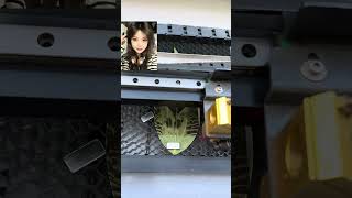 Leaf Engraving Machine Stall Entrepreneurship [upl. by Zirtaeb131]