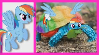 Май Литл Пони в виде ЧЕРЕПАХ  MY LITTLE PONY like a TURTLES [upl. by Wallraff]