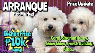 Arranque Pet Market  January 12 2023  Recto Manila [upl. by Sissie527]