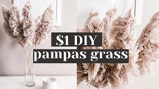 Easy DIY String Pampas Grass from Dollar Tree Materials [upl. by Oesile889]