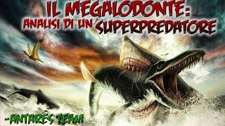 Il Megalodonte Analisi di un Superpredatore [upl. by Cyb]