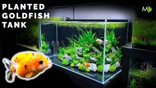 How To Planted Goldfish Aquarium Tutorial  The Ranchu Crew [upl. by Neras]