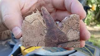 Make Pen Blanks From Heavily Spalted She Oak [upl. by Eimot]