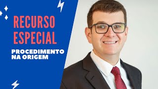 Recurso Especial  Procedimento na origem [upl. by Novyart]