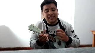 Hasta el otro carnaval Los tekis cover con ukelele [upl. by Limber]