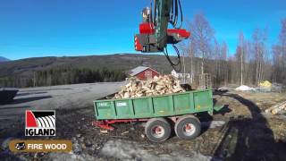 IGLAND WP 3000 Woodprocessor [upl. by Hurst]