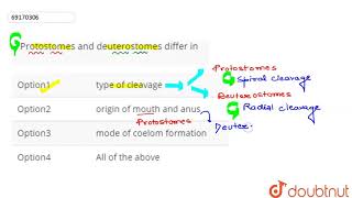 Protostomes and deuterostomes differ in  12  ANIMALIA I LOWER INVERTEBRATES  BIOLOGY  AR [upl. by Ecenahs]