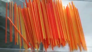 two color coextrusion drinking straws making machine [upl. by Selym527]