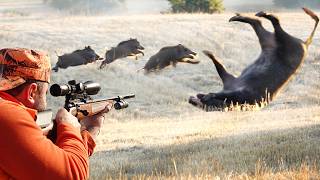 BEST WILD BOAR HUNTING Watch the bullet go combat hunt with wild boars Pig hunter joh hunts [upl. by Anovad]