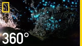 Glow Worm Caves of New Zealand in 360°  National Geographic [upl. by Ozner915]