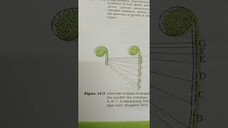 Plant growth and development figure 133 Detection of zone of elongation by parallel line technique🙏 [upl. by Nicodemus232]