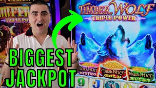 BIGGEST JACKPOT Ever On Timber Wolf Triple Power Slot [upl. by Naillig]