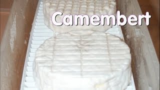 Making Camembert at Home [upl. by Aikemit]