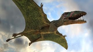 Dinosaures du Jurassique 13  Lépopée des reptiles volants  Ptérosaures HistoireNaturelle [upl. by Neelyk]