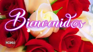 Mensaje de Bienvenida para Ti 🌷💝 [upl. by Lanford]