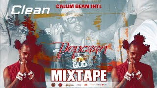 Popcaan Mix 2024 CLEAN  Popcaan Mixtape 2024 Clean  Popcaan Dancehall Mix 2024  Calum beam intl [upl. by Anyar278]