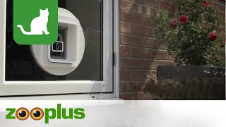 SureFlap Mikrochip Haustierklappe  zooplus [upl. by Reggi]