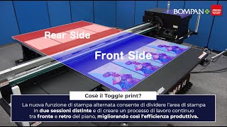 Mimaki JFX6002531  Funzione di stampa alternata [upl. by Yesdnyl]