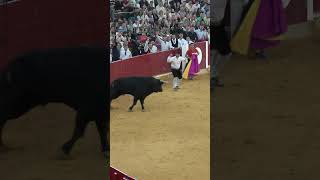 Ajustado tirabuzón de Eusebio Sacristán quotUsequot en Zaragoza 2024 recortadores toros use [upl. by Ammadis]