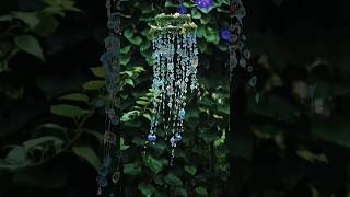 Wind Chime  Broken Mirror Wind Chimes  Wind chime with sound  diy art shorts viralshorts [upl. by Elleraj]