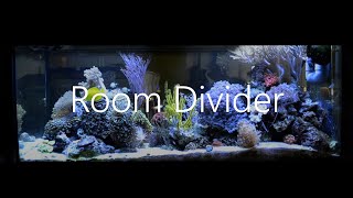 Room Divider Coral Reef Aquarium  Corals 1 HD [upl. by Schweiker]