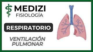 Clase 37 Fisiología Respiratoria  Ventilación Pulmonar IGdoctorpaiva [upl. by Thierry428]