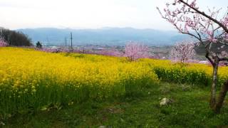 Fruit Line of Yamanashi Japan [upl. by Alletsirhc]