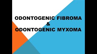 odontogenic fibroma and odontogenic myxoma PPT odontogenic tumorsppt [upl. by Yatnahc737]