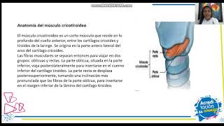 Musculo Cricotiroideo [upl. by Aohk]