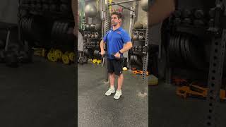 Dumbbell Upright Row [upl. by Vonnie403]