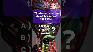 Test Your Body Knowledge 🙍‍♂️ USA UK Anatomy Challenge quiz quiztime medicaltrivia [upl. by Yoko870]