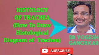 HOW TO DRAW HISTOLOGICAL DIAGRAM OF TRACHEA BY DR YOGESH GANORKAR [upl. by London]