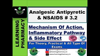 32  Mechanism Of Action amp Side Effects of Analgesic Antipyretic amp NSAIDS DCMA Tutorial in Hindi [upl. by Hildegarde]