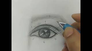 how to draw eyelashes easy way [upl. by Debra823]