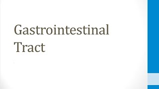 GI 14 Gastrointestinal Tract [upl. by Ithaman]