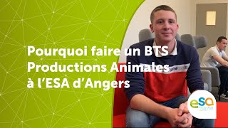 BTS Productions Animales  Meven parle de sa formation  ESA Angers [upl. by Erdreid109]