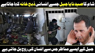 Inside Syria’s most notorious prison  Sednaya Prison  Urdu Cover [upl. by Mable]