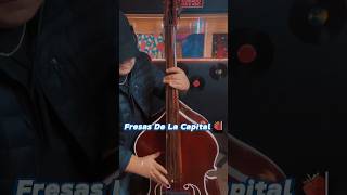 Fresas De La Capital  Legion RG Jaquemate Cover [upl. by Llij]