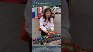 Percussion Play Outdoor Musical Instruments  NAEYC Expo NAEYC24 earlylearning musiceducation [upl. by Dee]