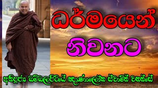 ධර්මයෙන් නිවනට  VenBambalapitiye Gnanaloka Thero [upl. by Salvucci]