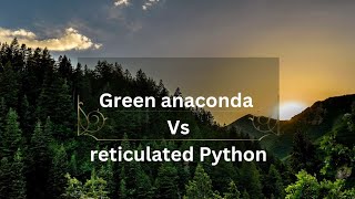 Green Anaconda vs Reticulated Python [upl. by Rik784]