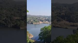 Salera Dam  Hoshiarpur  Punjab  Travel hoshiarpur saleradam travel viralvideo shortvideo [upl. by Tnek]